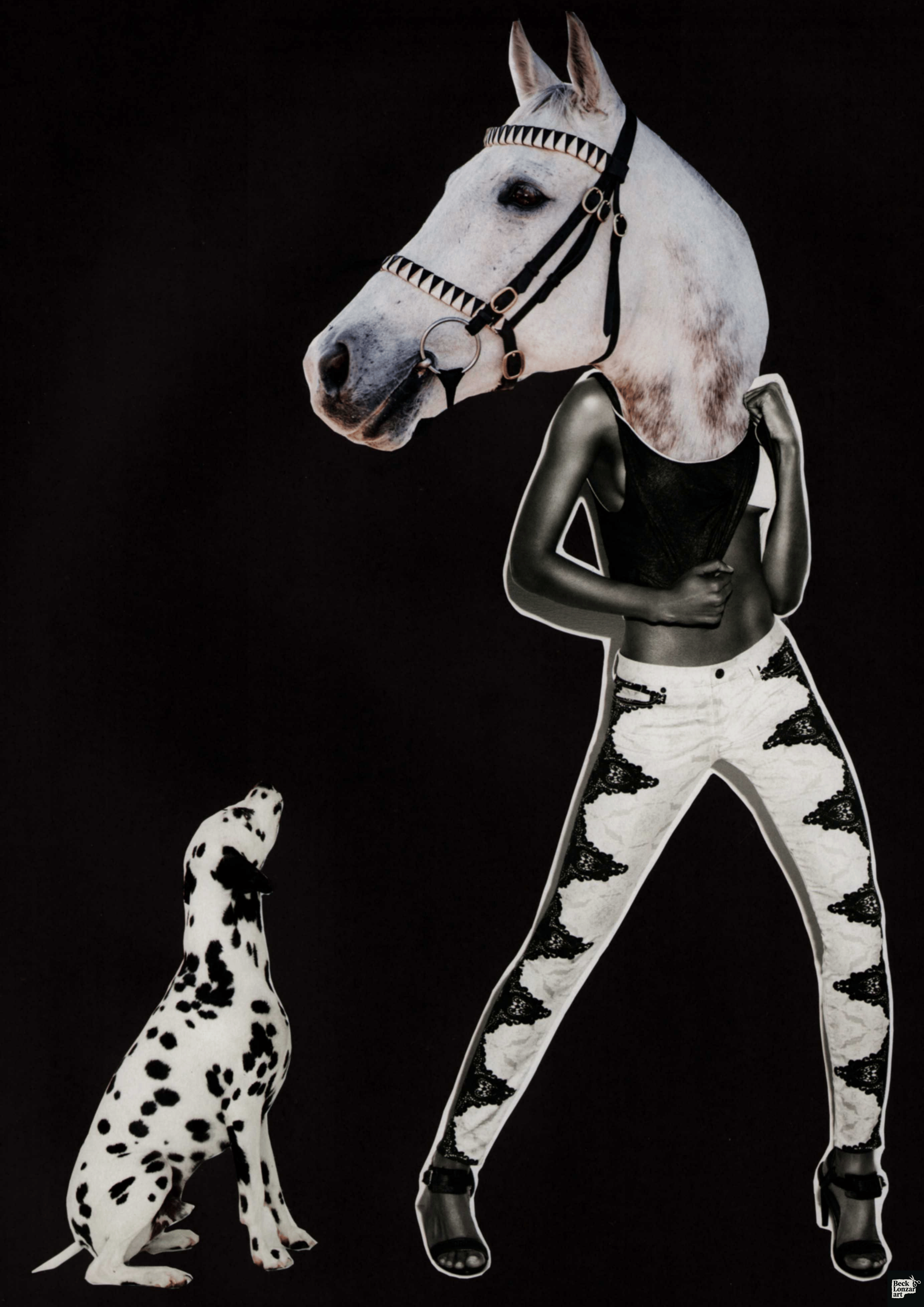 Bridle & Bone
