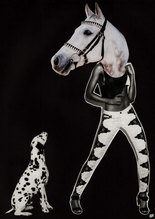 Bridle & Bone