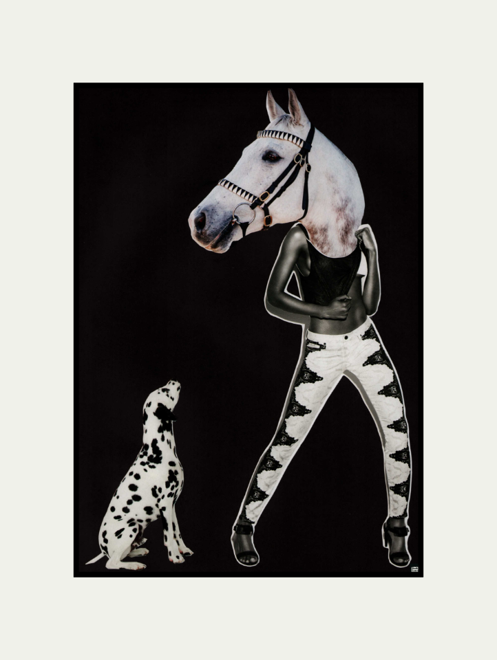 Bridle & Bone