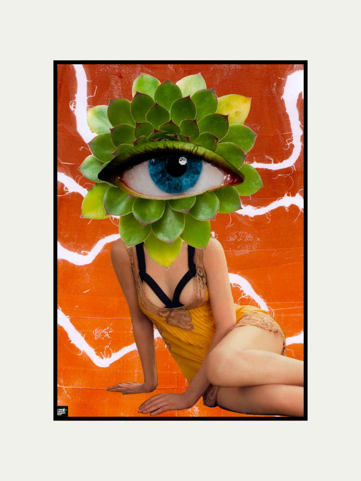 Her Watchful Cactus