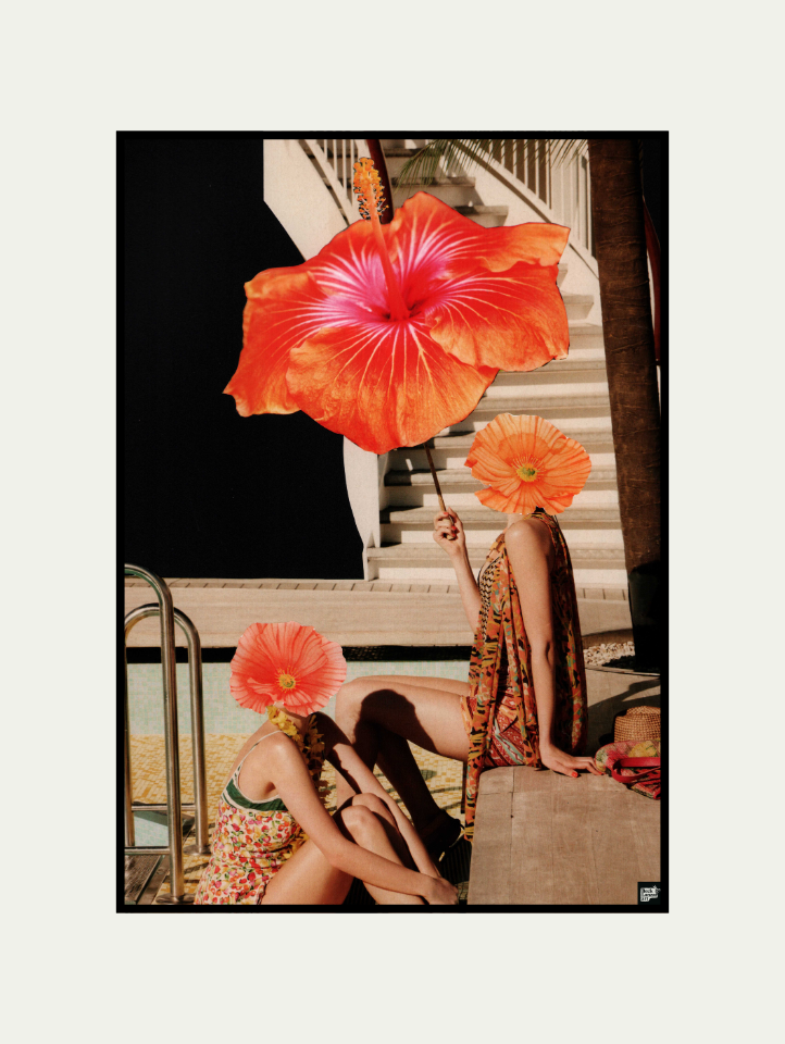 Hibiscus Heat
